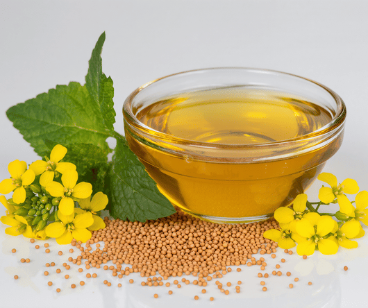 nutry.tireshredsrecovery