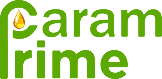 nutry.tireshredsrecovery.com